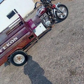Fekon FK150-8G 2014