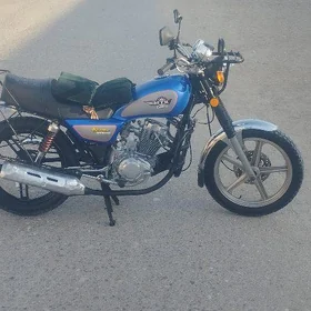Fekon FK150-8G 2013