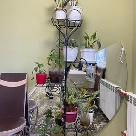 Gül ve podstawka