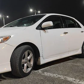 Toyota Corolla 2011