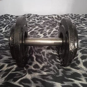 gantel 10kg