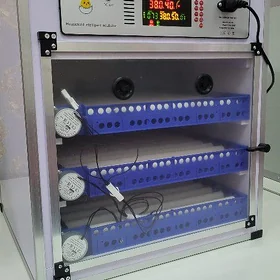 Inkubator204 Инкубатор204