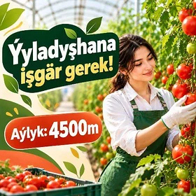 Ýyladyş hana Zenan işgär