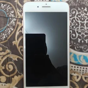 iPhone 8 +