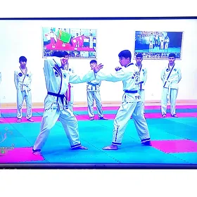 43 телевизор telewizor