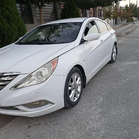 Hyundai Sonata 2010