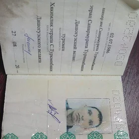 pasport tapdym
